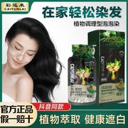 彩运来牛油果泡泡染发剂植物萃取护染膏霜纯袋装抖音果染膏