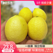 荷尔檬5斤四川安岳一级黄柠檬当季新鲜水果皮薄非青柠檬