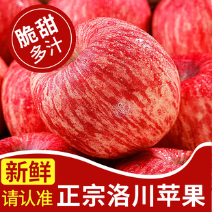 正宗陕西洛川苹果水果，新鲜当季整箱，红富士冰糖心一级脆甜10斤