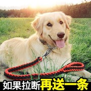 狗绳子牵引绳宠物狗中型大型犬狗链子扣环金毛拉布拉多哈士奇专用