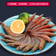 新鲜海捕条虾对虾冻虾活虾海虾青虾滑皮虾霞浦鲜活海鲜水产食用