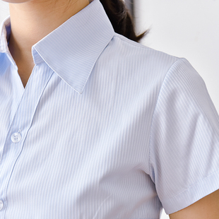 春夏新浅蓝条纹女士衬衫短袖v领收腰棉大码职业装，工装白衬衣(白衬衣)长袖