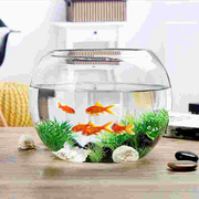 鱼缸高端圆形透明玻璃加厚大号金鱼缸(金鱼缸)乌龟，缸客厅桌面小型风水圆球