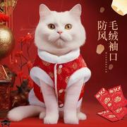 中国风东北大红棉衣泰迪比熊小型幼犬狗狗秋冬装宠物猫咪衣服