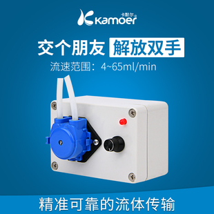 蠕动泵实验室微型自吸泵小型循环小泵 自动家用12V水泵电动抽水泵