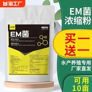 em菌种水产养殖用肥水降亚硝酸盐em菌杆菌乳酸菌细菌复合水质净水