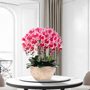 和家蝴蝶兰仿真花套装塑料，花艺绢花假花盆栽，客厅装饰餐桌干花花束