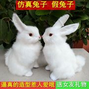 可爱大白兔玩偶公仔毛绒玩具，创意摆件大号兔兔子送女朋友生日礼物
