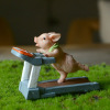 创意可爱小猪摆件动物运动健身系列公仔手办送男女生日礼物情人节