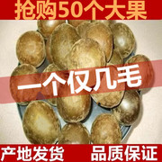 500g散装野生罗汉果干果大果广西桂林特产永福罗汉果花茶