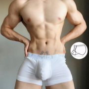 cin男士吊环平角内裤系带，提睾款体育生健身u凸显大纯棉低腰黑白灰