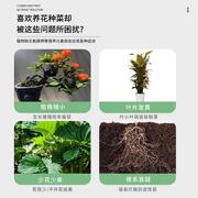 护花神花卉营养液植物通用型绿植，绿叶多肉家庭，养花专用花草盆栽