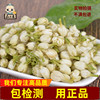 仙太医茉莉花中药材无硫新货散装纯花朵茉莉花茶500克