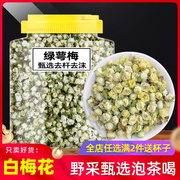 绿萼梅中药500g克野生白梅花泡茶中药材白梅花干花绿萼梅花玫瑰花