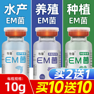 em菌种水产养殖种植专用益生菌粪便豆渣饲料发酵剂em菌粉em发酵菌