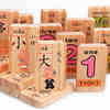 儿童认数识字双面100粒多米诺骨牌早教益智积木木质幼儿园玩具1-6