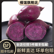 槿馐 新鲜小紫薯500g 迷你紫红薯 紫番薯 山芋 紫芋头 5件