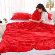 加厚单层双面绒法兰绒毛毯床单，毯子单人学生，双人幼儿园盖毯午睡毯
