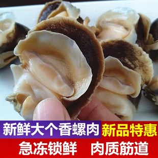 香螺肉新鲜海鲜海螺肉玉螺冷冻海螺肉 内脏已去除 刺身香螺
