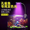 水草鱼缸夹灯led防水全光谱水草灯爆藻观赏小鱼缸照明专用灯
