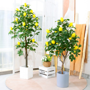 柠檬树仿真绿植摆件假植物盆栽仿真树室内落地仿生绿植客厅装饰