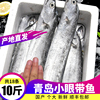 青岛小眼带鱼新鲜冷冻海鲜水产鲜活特大海鱼整箱10斤整条深海鱼