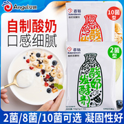 百钻酸奶发酵剂2菌/10菌酸奶菌粉乳酸菌种益生菌型自制酸奶发酵菌