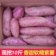 新鲜现挖现发广西富硒小紫薯现挖地瓜番薯，紫薯红薯自种带箱10斤