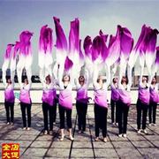 练功服藏族舞蹈演出服装民族古典舞蹈练习水袖广场舞民Z族长袖服
