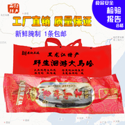 黑龙江抚远马哈鱼新鲜腌制大马哈鱼咸鱼东北特产，4斤