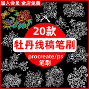 牡丹花ps笔刷procreate笔刷，国画植物中国风花朵，花卉鲜花线稿绘画