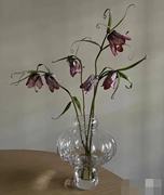 灯笼型玻璃花瓶，现代样板间书柜客，餐桌插花花器装饰品