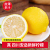 四川安岳黄柠檬(黄柠檬)新鲜水果，1斤装当季水果，商用香水榨汁奶茶店专用