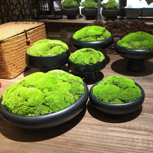 新中式仿真永生苔藓花艺套装 售楼部会所洽谈桌茶几软装桌面摆件