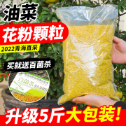 代用花粉喂蜂养蜂中蜂专用蜂粮喂蜂花粉油菜，花粉颗粒养蜂饲喂工具