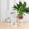 水培玻璃花盆简约家用透明直筒，圆柱花瓶绿萝白掌水养，植物大号容器