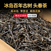 普洱茶生茶散茶2024年冰岛古树头春纯料特级生普洱散茶茶叶500克