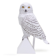 儿童益智DIY立体手工制作仿真动物鸟白色猫头鹰3D纸模型纸艺玩具