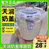 酸奶新疆奶盖酸奶圆桶装低温酸奶全脂发酵乳880g*2桶装
