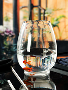 圆形植物生态小鱼缸创意，透明花瓶玻璃器摆件，大号皿简约水培办公室