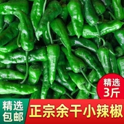 江西特产正宗余干新鲜小辣椒3斤新鲜辣椒青椒中辣现摘蔬菜