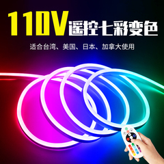 110v台湾美国遥控防水彩色软灯带