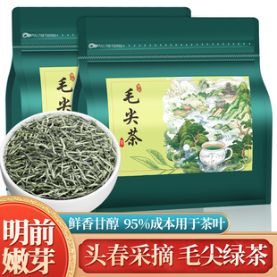 正宗毛尖茶2024新春茶(新春茶)明前特级嫩芽浓香型信阳特产茶叶散装自己喝