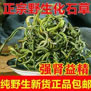 云南野生化石草肾精茶500g中药材黄金草嗷嗷叫男性滋补猫须草