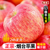 山东烟台红富士苹果水果，10斤装当季整箱礼盒新鲜栖霞冰糖心苹果