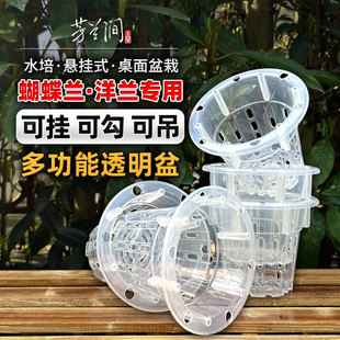 蝴蝶兰专用花盆透明透气树脂塑料硬植杯个性定植篮，挂钩吊盆美兰盆