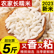 新鲜农家长粒糯米5斤一级粘大米籼糯粳米五谷杂粮酿酒粽子白江米