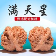 文玩麻核桃满天星狮子头手把件天然野外生随身盘红皮老树密纹