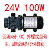 定制12V小型增压泵大功率自吸抽水微型高压水泵家用增压直流隔膜