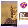 英文原版 Born Free A Lioness of Two Worlds 野生的爱尔莎 英文版 Joy Adamson 进口英语原版书籍